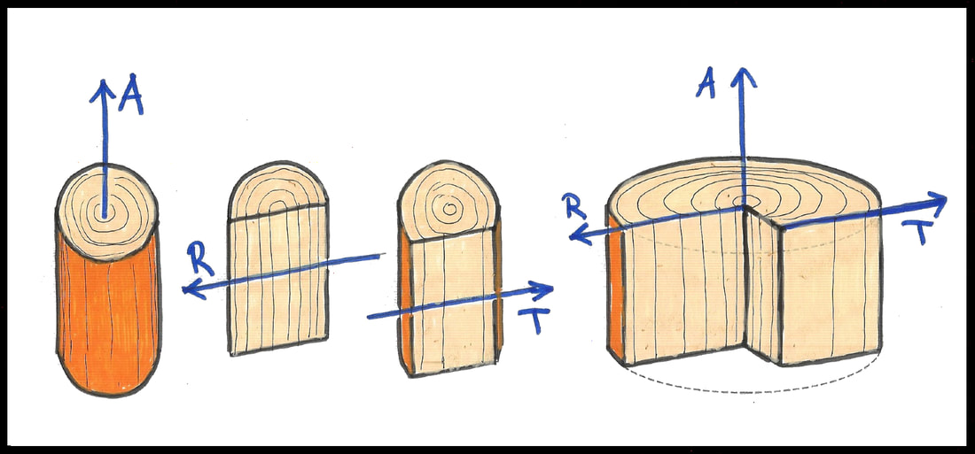 Direcciones de anisotropía de la madera, localización y